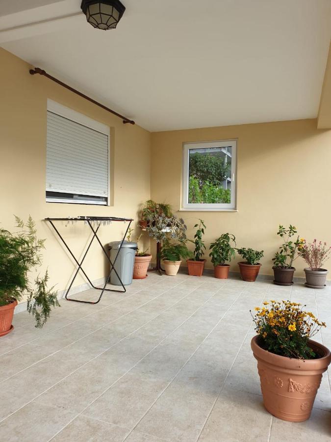 Apartment Jelena Kotor Exteriér fotografie