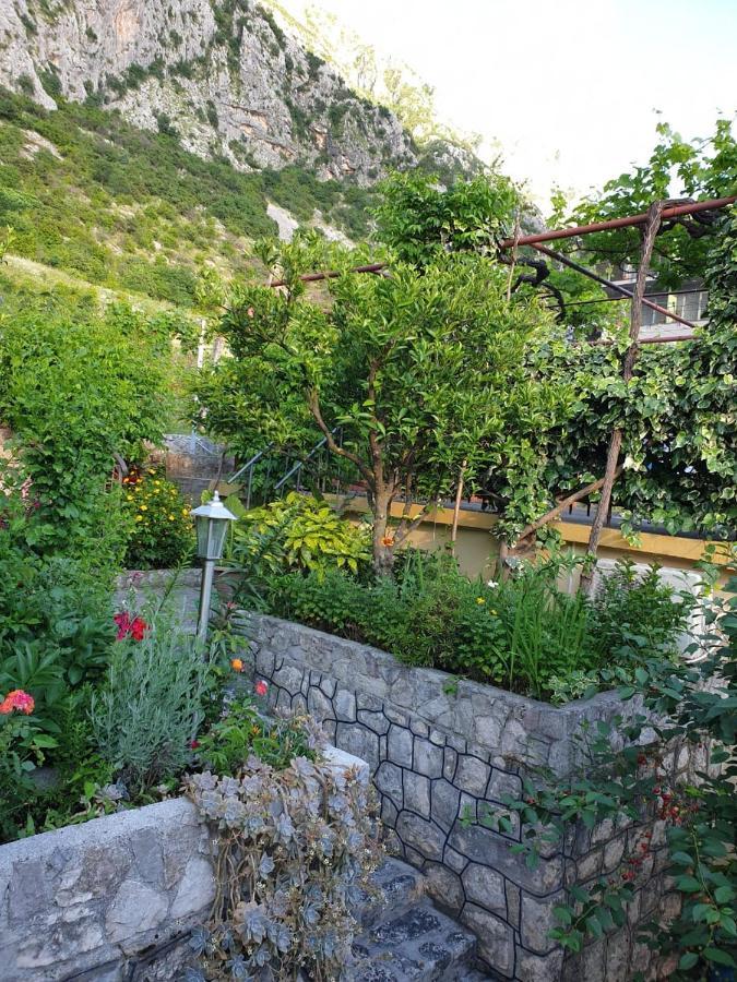 Apartment Jelena Kotor Exteriér fotografie